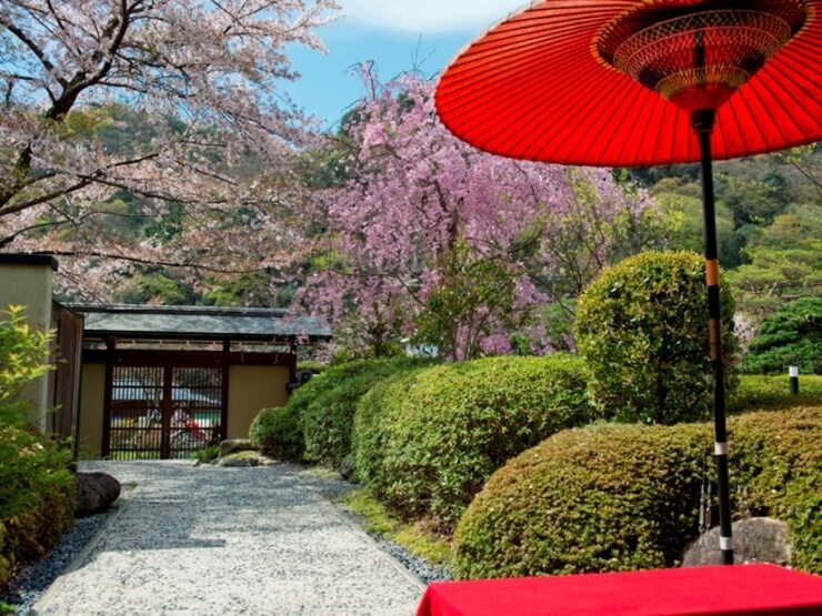 京都・嵐山ご清遊の宿らんざん京雅 料理写真